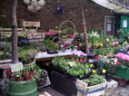 Hackney City Farm