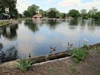 Valentines Park