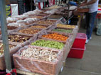 Duke of York Square Market