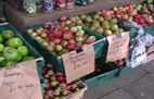 Pimlico Market