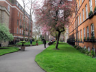 Mount Street Gardens