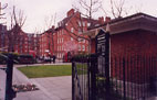 Millbank gardens