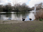 St James's Park - Laghetto