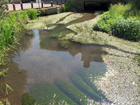 Fiume Cray