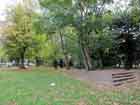 Beckenham Green