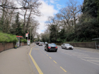 Summer Hill