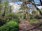 South Norwood Country Park