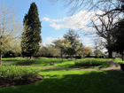 Hayes Old Rectory Gardens