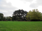 Cator Park