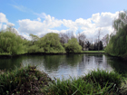Lo stagno a Priory Gardens