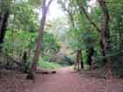 Beckenham Place Park