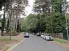Crab Hill