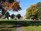Plaistow Green