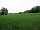 Rowdown Fields