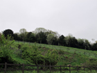 Lo spazio verde Riddlesdown