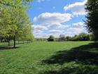 Norbury Park