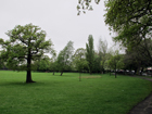 Ashburton Park