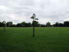 Ealing Common