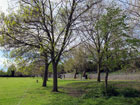 Ealing Central