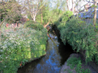 Turkey Brook