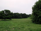 Lesnes Abbey Woods, da cui raggiungete, dopo 300 metri, le rovine dell'Abbazia di Lesnes
