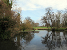 The Tarn Bird Sanctuary