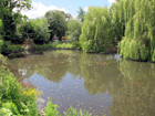 Horse Pond