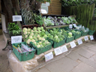 Osterley House Farm - Prodotti agricoli in vendita