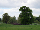 Syon Park