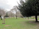 Chiswick Back Common