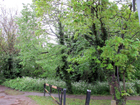 Worcester Park