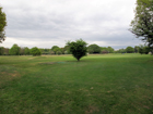 Mitcham Common