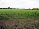 Morden Park