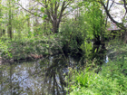 Corso d'acqua in Morden Hall Park