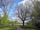 Morden Hall Park