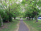 Sentiero tra gli alberi al centro di Green Lane