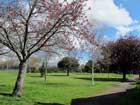St Chad's Park