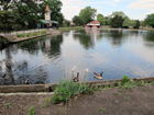 Valentine Park - Laghetto