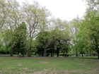 Barnes Green