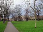 Mortlake Green
