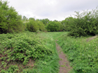 Mitcham Common
