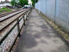 Il percorso che porta a Beddinton Lane
