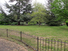The Grove