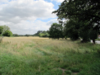 La Foresta di Epping