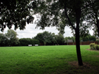 Thomas Gamuel Park