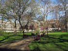 Tavistock Square Gardens
