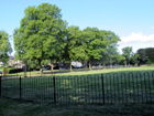 Fortune Green