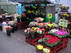 Bancarella di fiori a Church Street Market