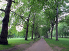 Green Park
