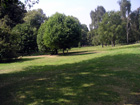 Angolo verde di Hyde Park